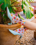 GINGHAM FRUITS ANKLE SOCK BY SOCK CANDY